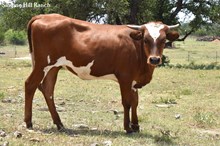 KSHR CHEX AUGUST BEAUTY